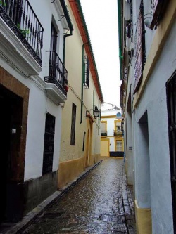 Calle Buen Pastor.jpg