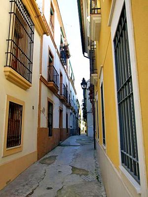 CallePintorBermejo01.jpg