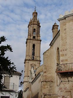 Torre iglesia asuncion bujalance.jpg