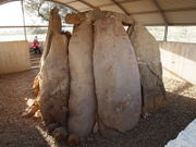 Dolmen belmez P7201113.JPG